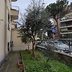 Olive Tree's House *