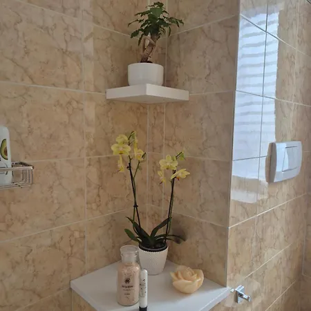 Olive Tree's House *