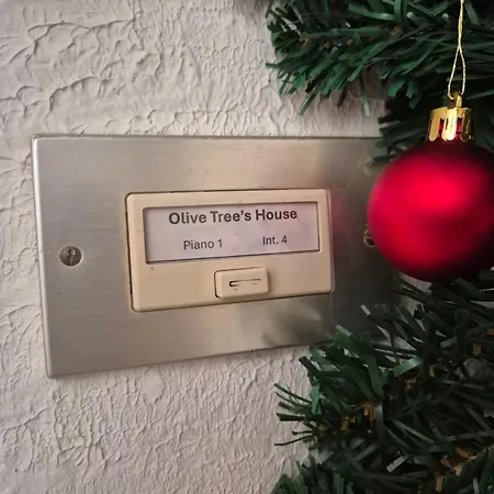 Olive Tree's House