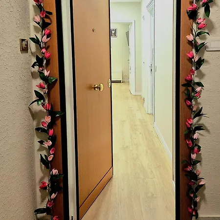 Olive Tree's House * 罗马
