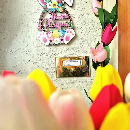 度假居 Olive Tree's House