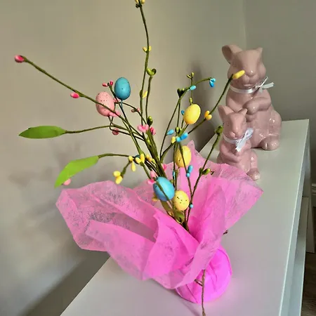 Olive Tree's House 罗马