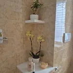 Olive Tree's House *