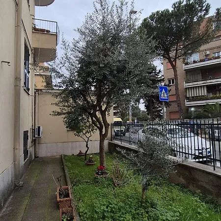 Olive Tree's House *