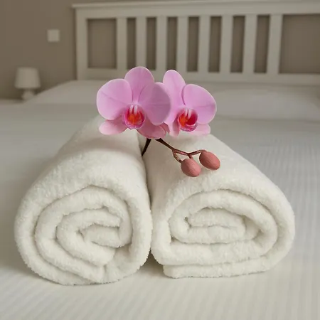 Olive Tree's House Vakantiehuis