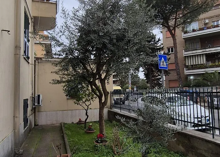 Olive Tree's House *