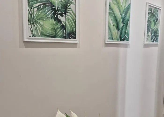 Olive Tree's House * Róma