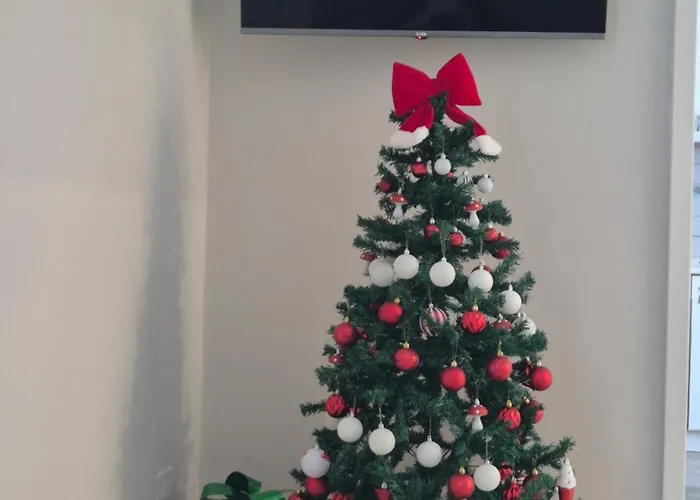 Olive Tree's House Róma