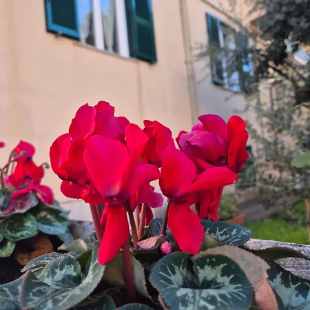 Olive Tree's House Holiday home