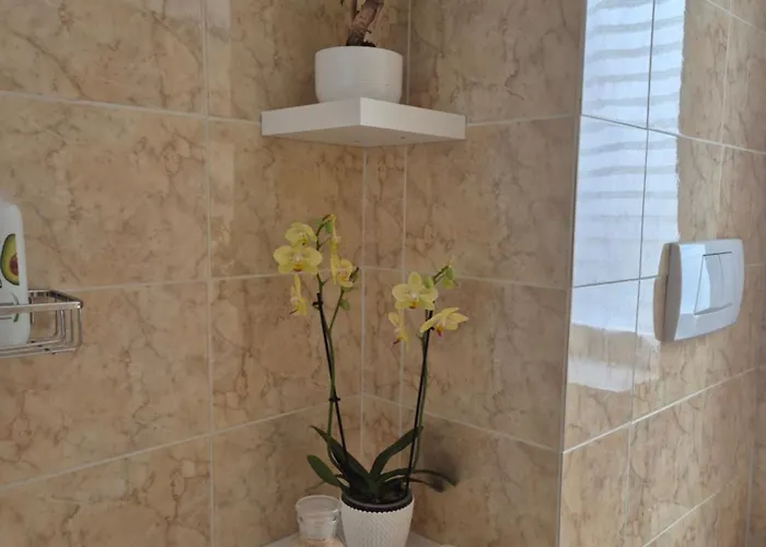 Olive Tree's House *