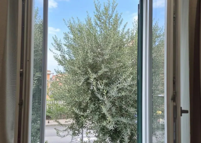 Olive Tree's House * Rome