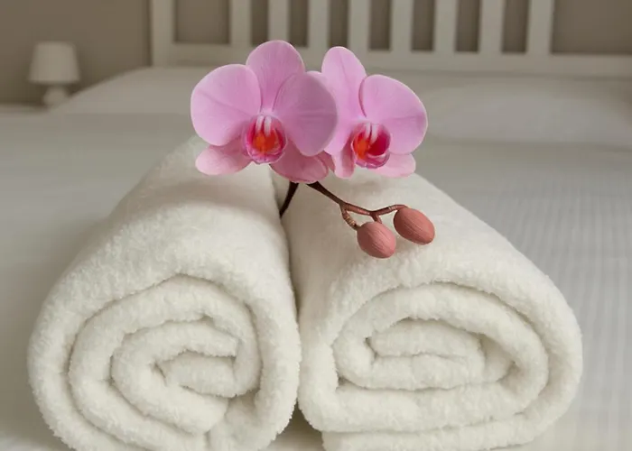 Olive Tree's House Holiday home