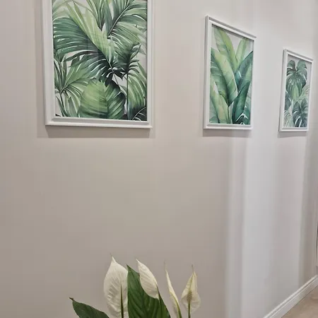 Olive Tree's House * Řím