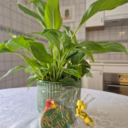 Olive Tree's House Prázdninový dům *